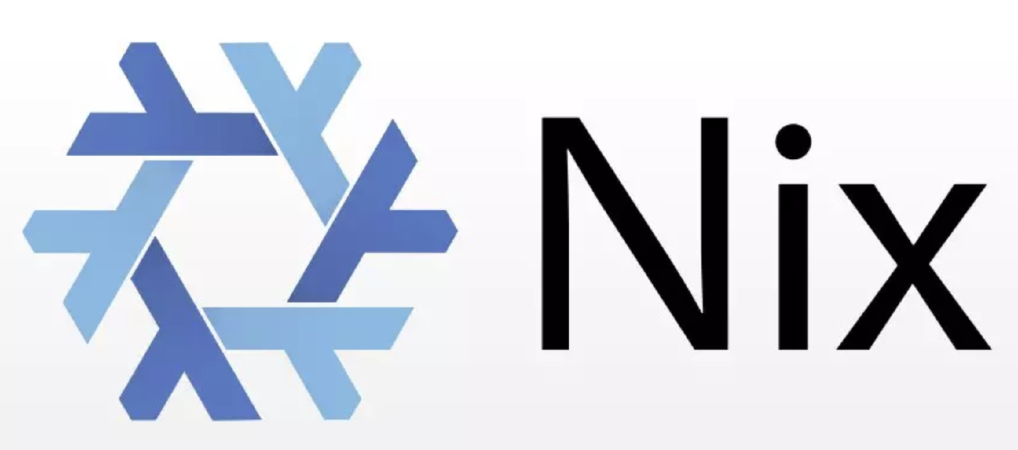 The Nix logo The Nix logo